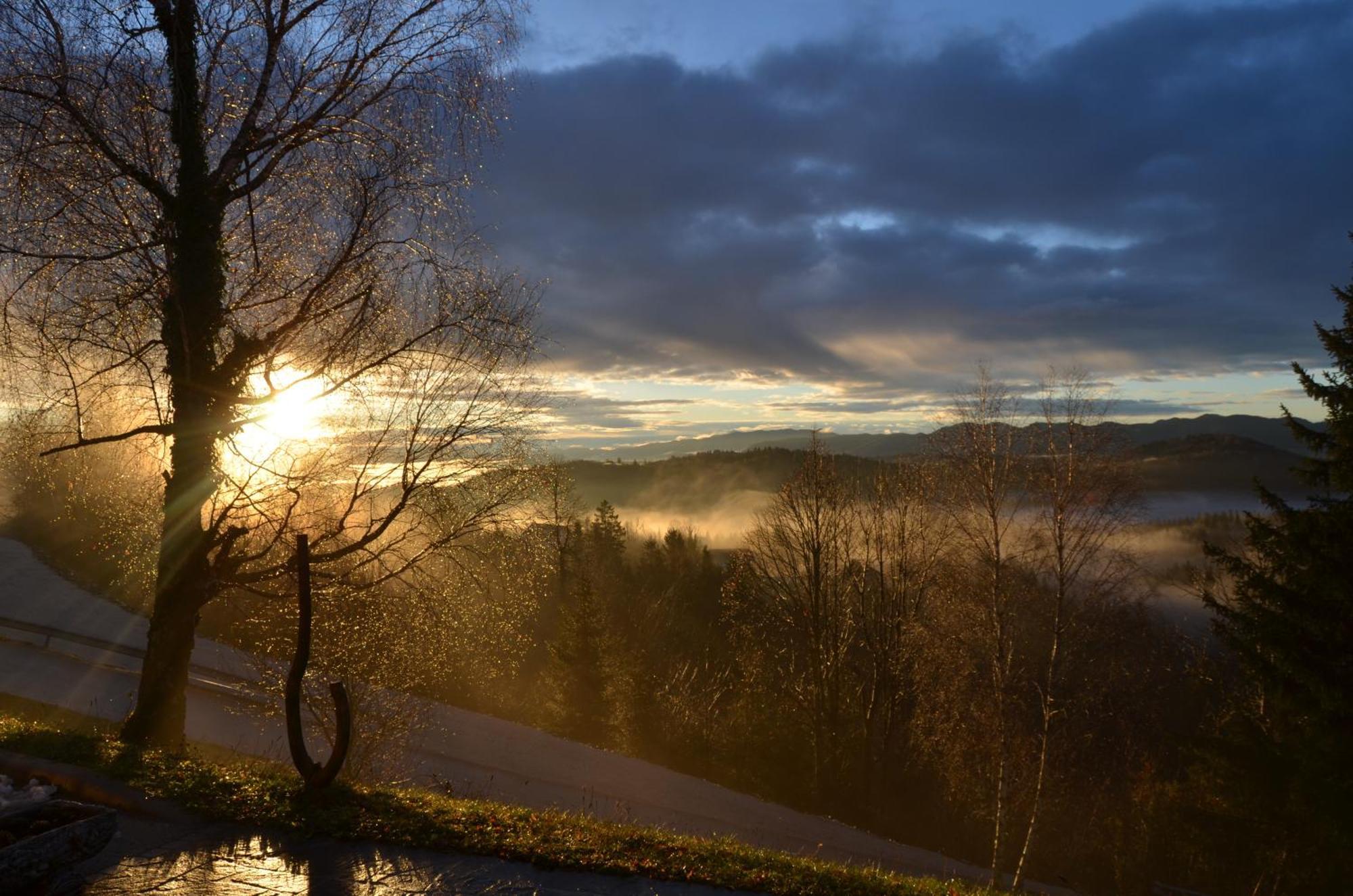 Holiday Home With Hot Tub And Sauna Sabina Rovte エクステリア 写真